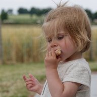 Membres &raquo; Jean-Luc VIAULT